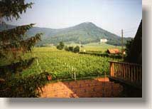 Blick vom Balkon